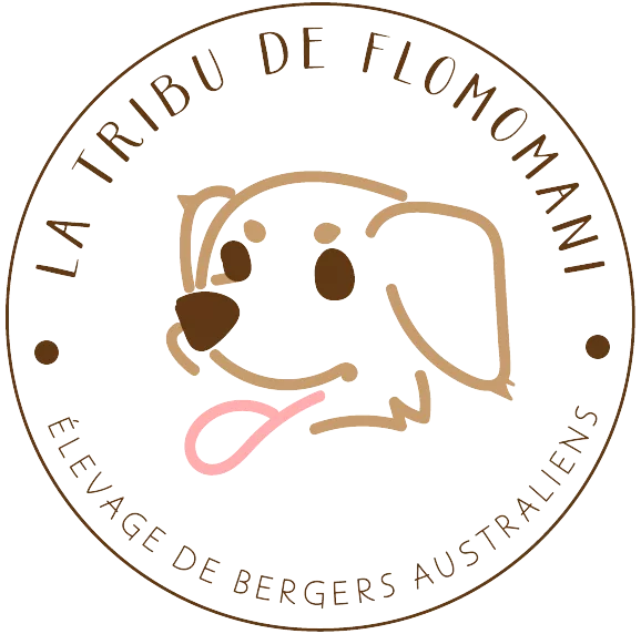 La Tribu de Flomomani
